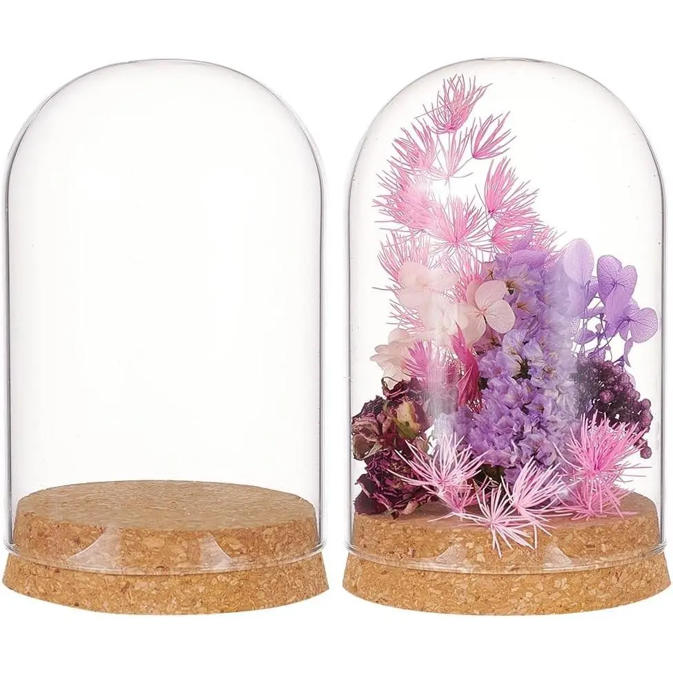 BENECREAT 2 Sets Glass Display Dome with Cork Base, 3.14x4.6 Inch (Inner Diameter 76mm) Tabletop Centerpiece Cloche Bell Jar for Flower Plants, Specimens, Crafts Decorations