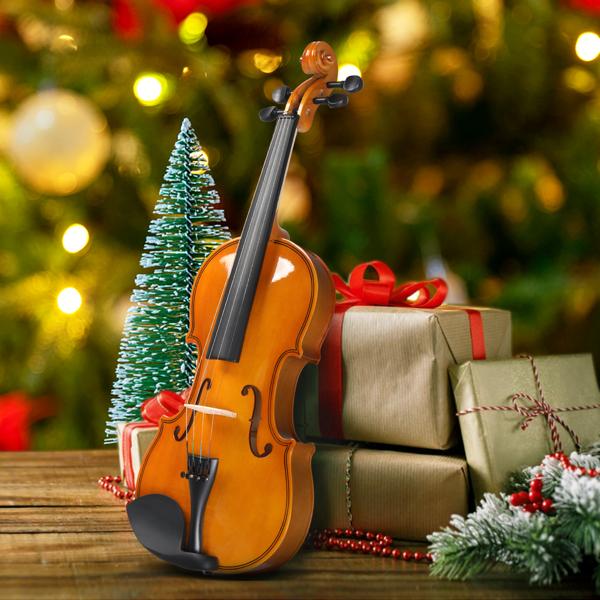 4/4 Violin Set for Adult Beginners and Students with Hard Case, Bow, Shoulder Rest, Rosin, Extra Strings, Pre Set Up Bridge