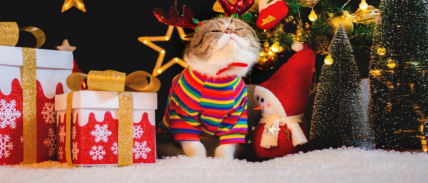 THE WELL KEPT 2pcs for Toyota Key Fob Cover Tacoma Prius Venza Corolla Crown Sequoia Tundra Grand Highlander RAV4 Prime,4 Buttons Remote for Toyota Key Protection Case Key Chain Car (Black Red)