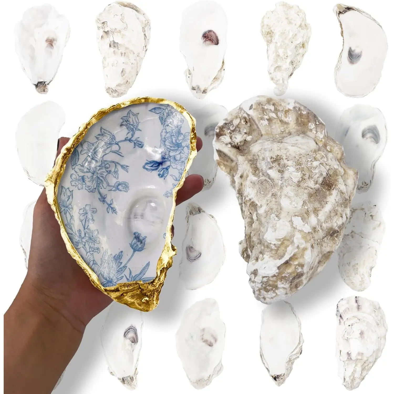20PCS Extra Large Oyster Shells for Crafts 5"-6", Natural Odor-Free Seashells for DIY, Painting, Wedding Decor, Decorating, Vase Fillers, Coastal Art Projects