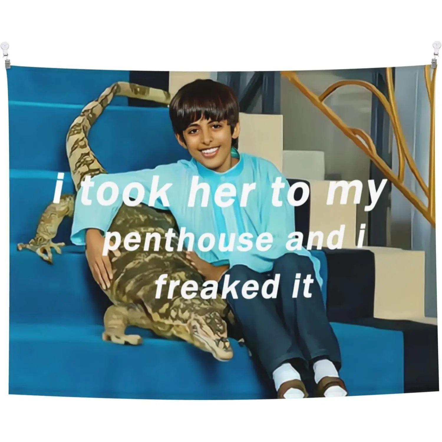 I Took Her To My Penthouse Ravi Tapestry Ravi Freaked It Essential Tapestry For College Dorm Room Bedroom Livingroom Wall Hanging Aesthetics Tapestry