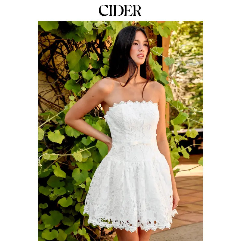 Cider Lace Strapless Bowknot Flared Mini dress SohoChic