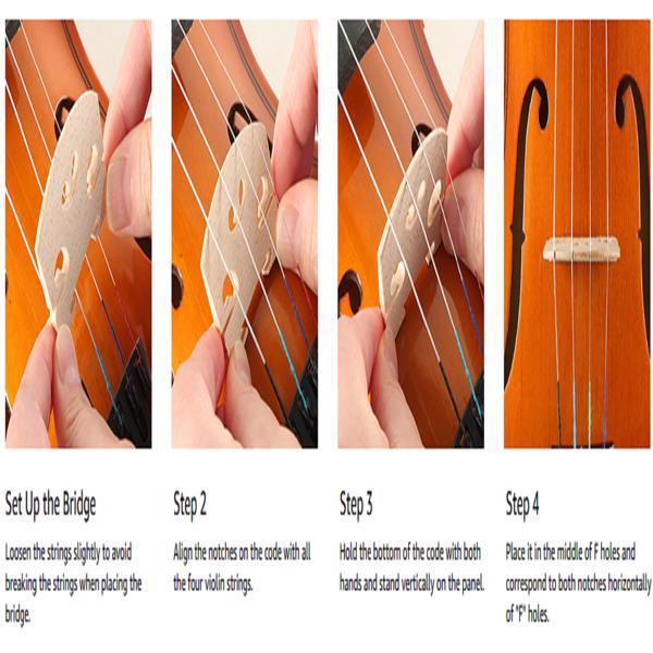 4/4 Violin Set for Adult Beginners and Students with Hard Case, Bow, Shoulder Rest, Rosin, Extra Strings, Pre Set Up Bridge