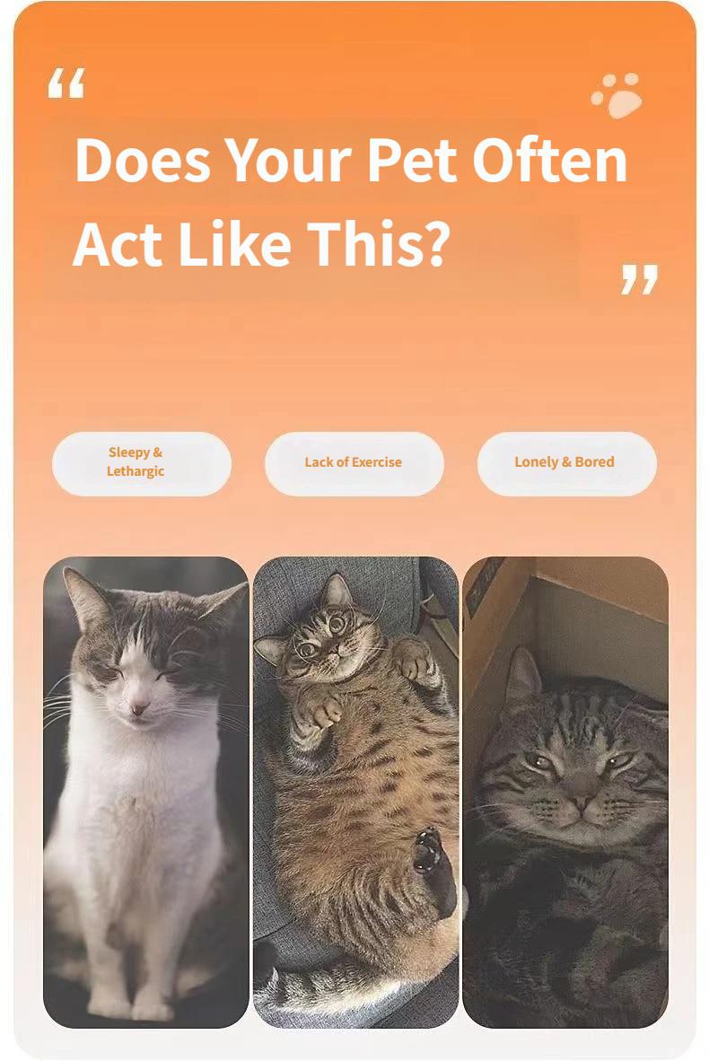 Multi-Function Cat Teaser Wand With Laser & Feather, Rechargeable Interactive Cat Toy With 5 Laser Patterns, Detachable Feather With Bell, Type-C Charging Wand For Indoor Cats, Daily Enrichment Play For Kittens & Adult Cats