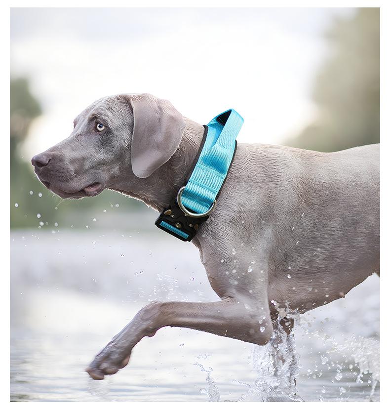 Heavy Duty Tactical Dog Collar with Control Handle, Stylish Pink Fashion No Pull Training Collar for Medium Large Dogs