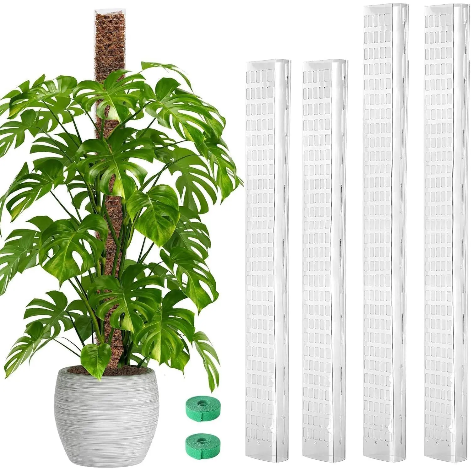 2 Pcs 24 Inch + 2 Pcs 36 Tall Plastic Moss Poles for Monstera – Large D-Shaped Climbing Plant Support, Works with Sphagnum Moss, Includes 2 Garden Ties