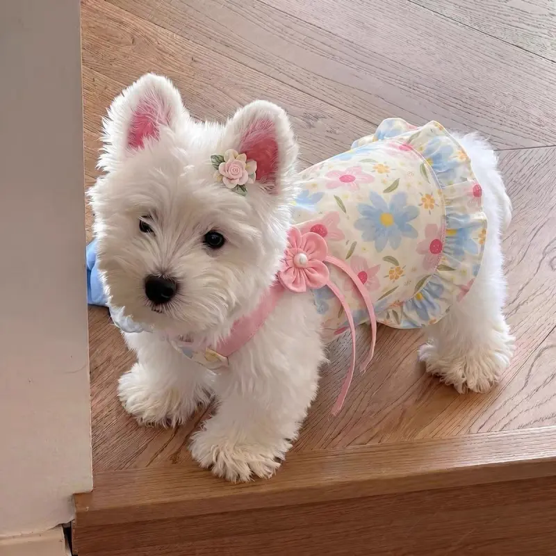 Summer Thin Cute Pet Princess Dress, Sleeveless Strap Dog Dress for Westie Teddy Bichon Pomeranian, Small Dog Clothes