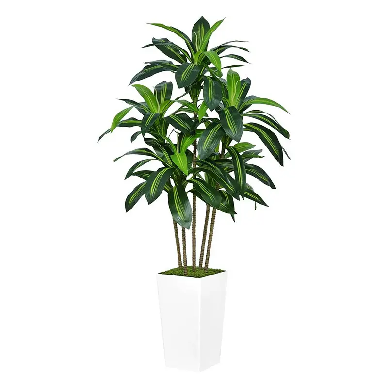 With white pot, 4ft, 5ft, 6ft, artificial green plants, Brazilian iron tree, dragon blood tree, large artificial landscape potted plant, detachable stem, detachable and assembleable fake tree, indoor decoration, living room floor-standing pot ornament,
