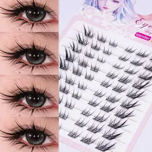 60 Pairs Lower Lashes (10 Rows), D Curl, Lightweight, Mixed Length, Segmented Single Cluster, Ideal for Makeup Enthusiasts & Daily Wear