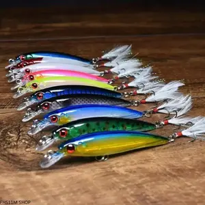 10PCS Feather Hook Topwater Fishing Lure Set, Artificial Bass Fishing Baits With Realistic Action And Sharp Treble Hooks, Casting Lures For Bass Trout And Predator Fish, Freshwater Fishing Tackle Gear For Anglers And Outdoor Fishing Trips