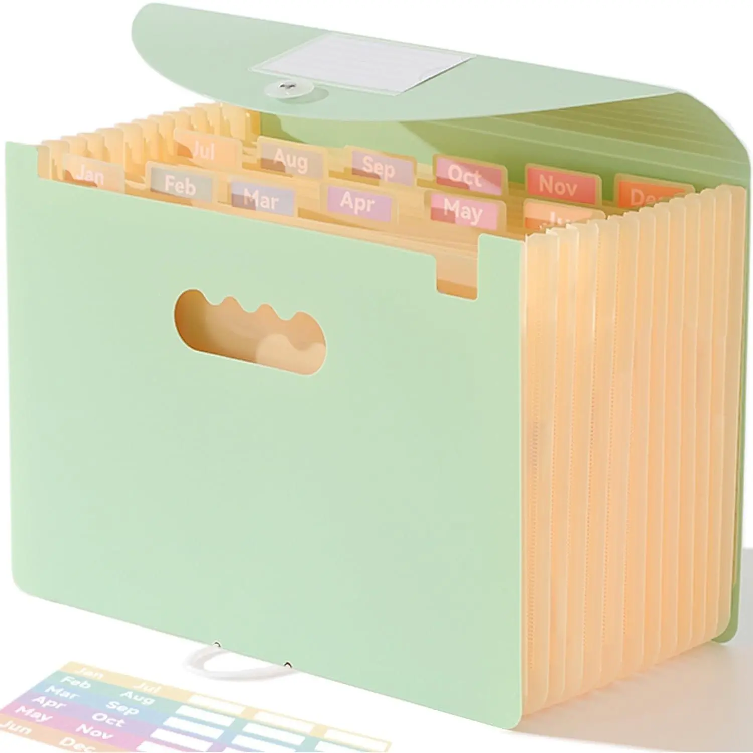 Monthly 12-Pocket Accordion File Organizer, Letter/A4 Size, Green | Expanding File Folder for Bills, Receipts and Taxes, with Large Bright Tabs, Elastic Closure