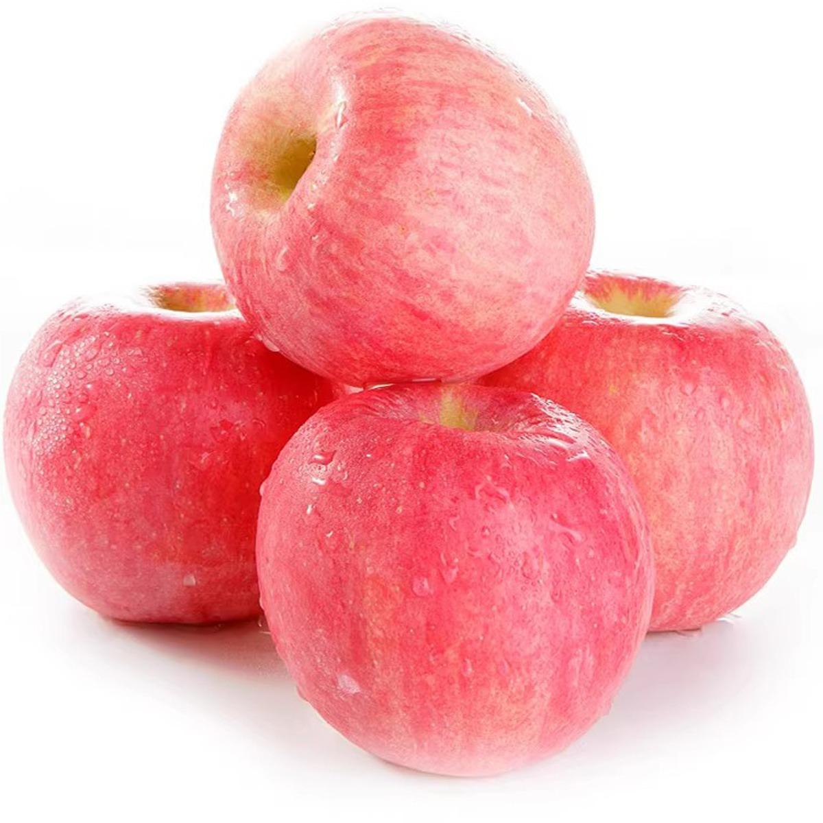 Semi-dwarf Honey Crispy Apple Tree Seedlings - Easy-to-grow fruit trees with high survival rates, ideal for home gardens and yards, hard, cold-resistant and fast-growing, suitable for beginners and home backyards