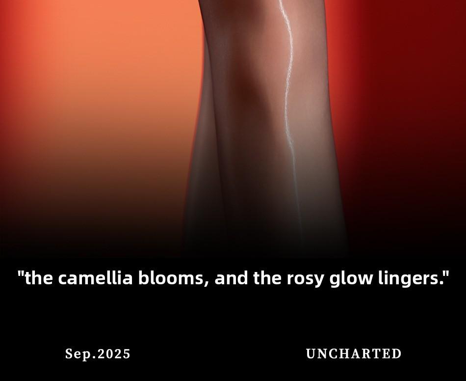 Camellia ultra-thin aurora lace sexy over-the-knee stockings nightclub disco color-blocking hot girl black long stockings