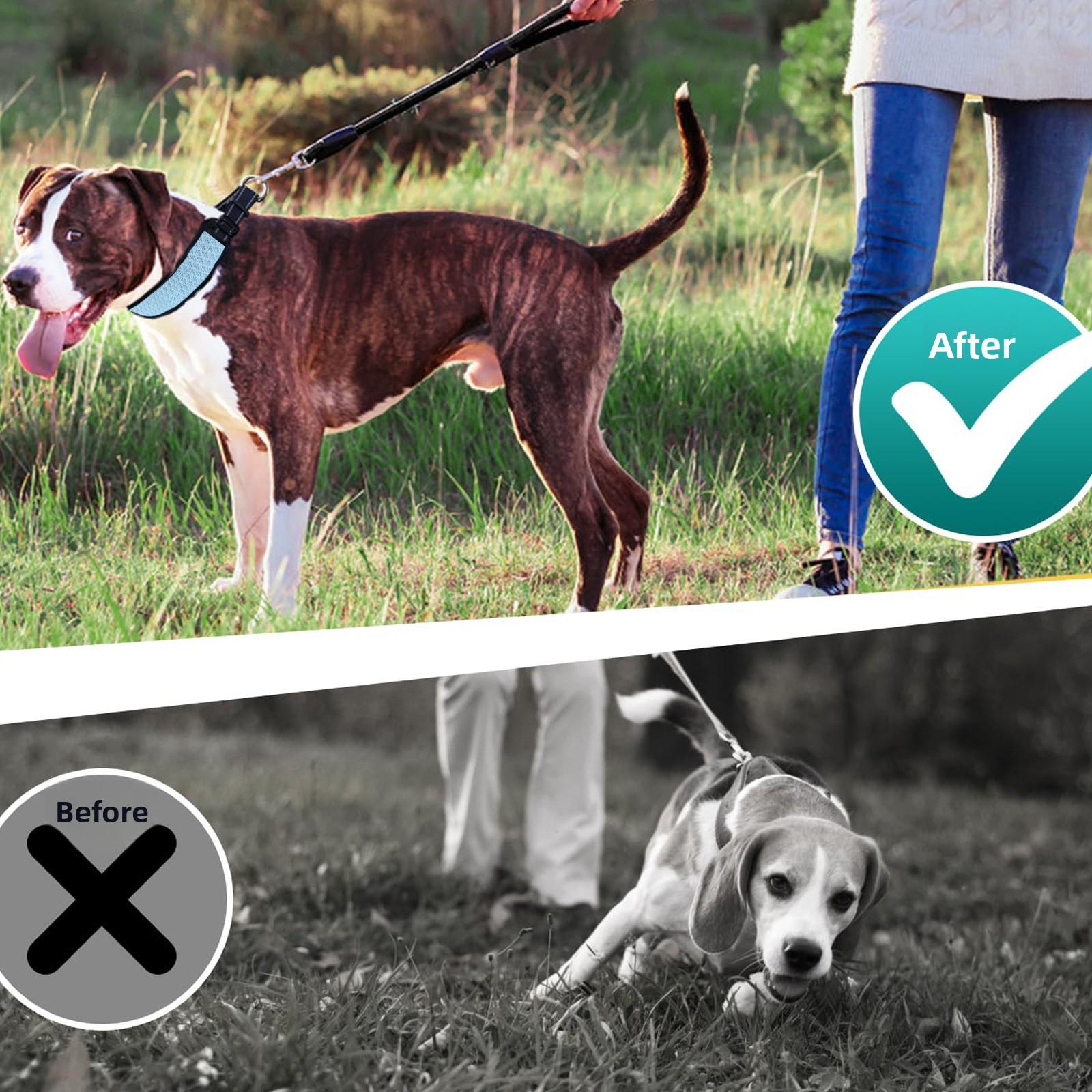 Anti-Bite Dog Training Collar Adjustable Neoprene Anti-Pull Dog Collar