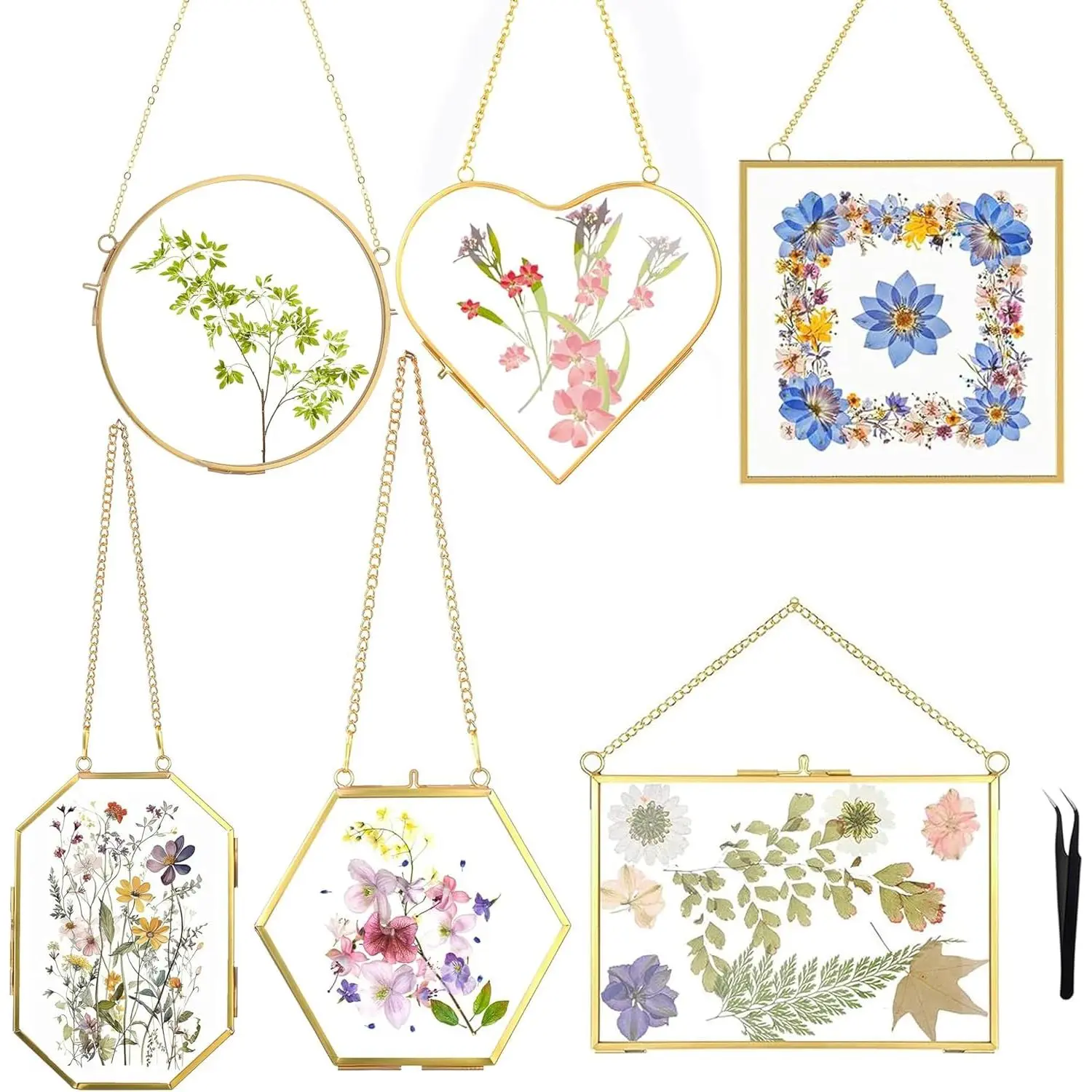 Wall Hanging Double Glass Pressed Flower Picture Frames with Chain for Dried Flowers Plants, Ideal for Home Wall Decor, Includes Frame and Tweezers, Gold 6PCS