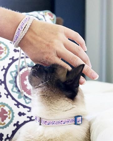 Pettsie Cat Collar with Heart, Safe Breakaway Buckle, Matching Friendship Bracelet, Soft and Comfortable Cotton for Sensitive Skin, Carton Box, Easy Adjustable 8-11 Inches, Green