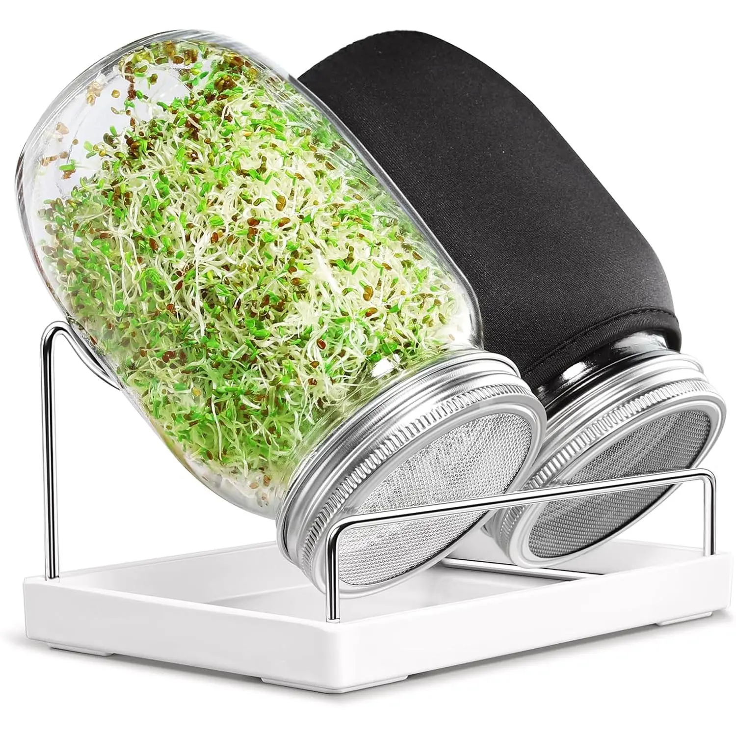 Seed Sprouting Jar Kit - 2 Wide Mouth Mason Jars with 316 Stainless Steel Sprouting Lids Covers, Drip Tray and Stand for Growing Broccoli Alfalfa Beans Sprout (Two Jars)