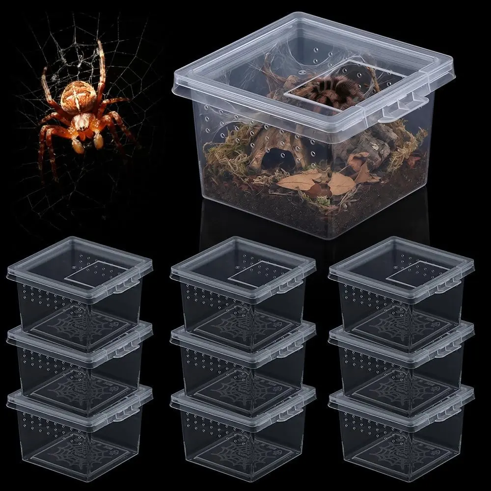10 Pcs Acrylic Insect Spider Terrariums Breeding Box Hatching Container for Small Reptiles Scorpions CentipedesGift