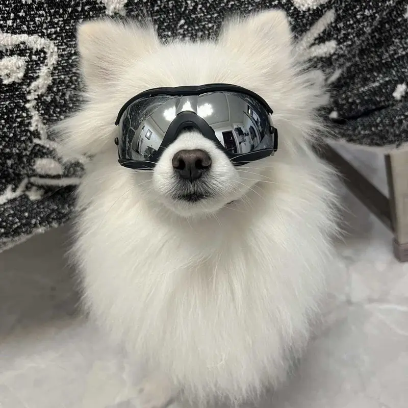 New Fashion Pet Motorcycle Helmet with Goggles And Glasses Integrated, Punk Style Dog Riding Safety Cap, Outdoor Headwear for Small Medium Large Dogs