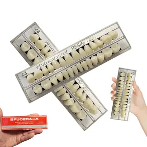 56Pcs A2 Shade Synthetic Resin False Teeth, 2 Sets Solid Upper & Lower Denture Teeth, Realistic Fake Tooth for Missing Tooth Repair, Dental Teaching Model, Halloween Horror Makeup & DIY Craft Props