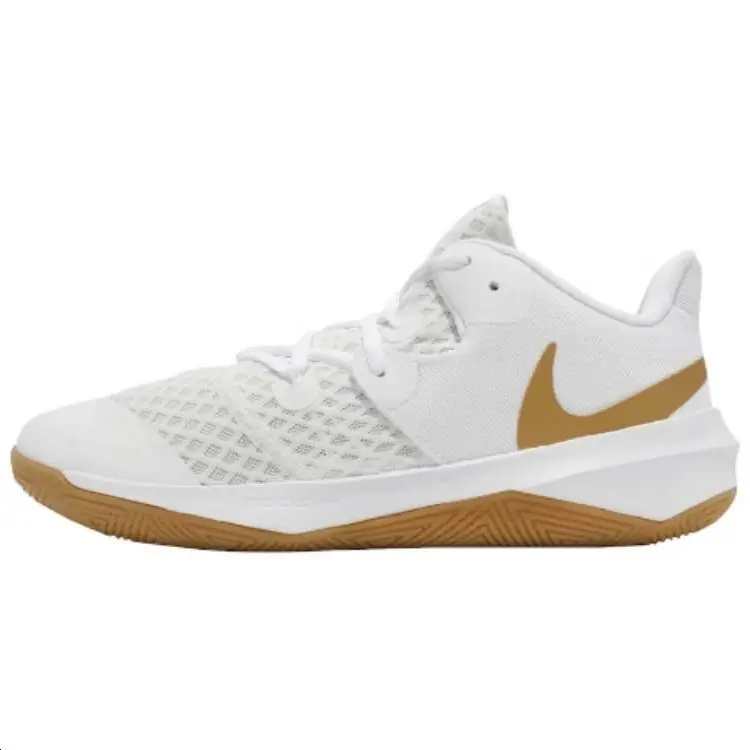 Nike Zoom Hyperspeed Court SE 'White Metallic Gold' DJ4476-170