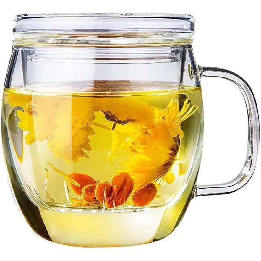 Glass  Cup with Infuser and Lid,500ml (17oz) Borosilicate Glass  Mugs for Loose Leaf ,Glass  Cups with Filter for Black , Loose -leaf Brewing System