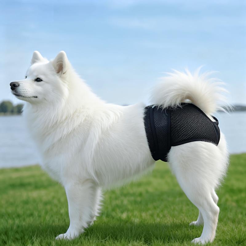 New Pet Female Dog Period Pants in 5 Colors, Comfortable, Leak-proof, and Breathable. Anti-harassment Modesty Pants, Reusable Dog Menstrual Pants, Dog Diapers. Suitable for Small, Medium, and Large Dogs. for All Seasons