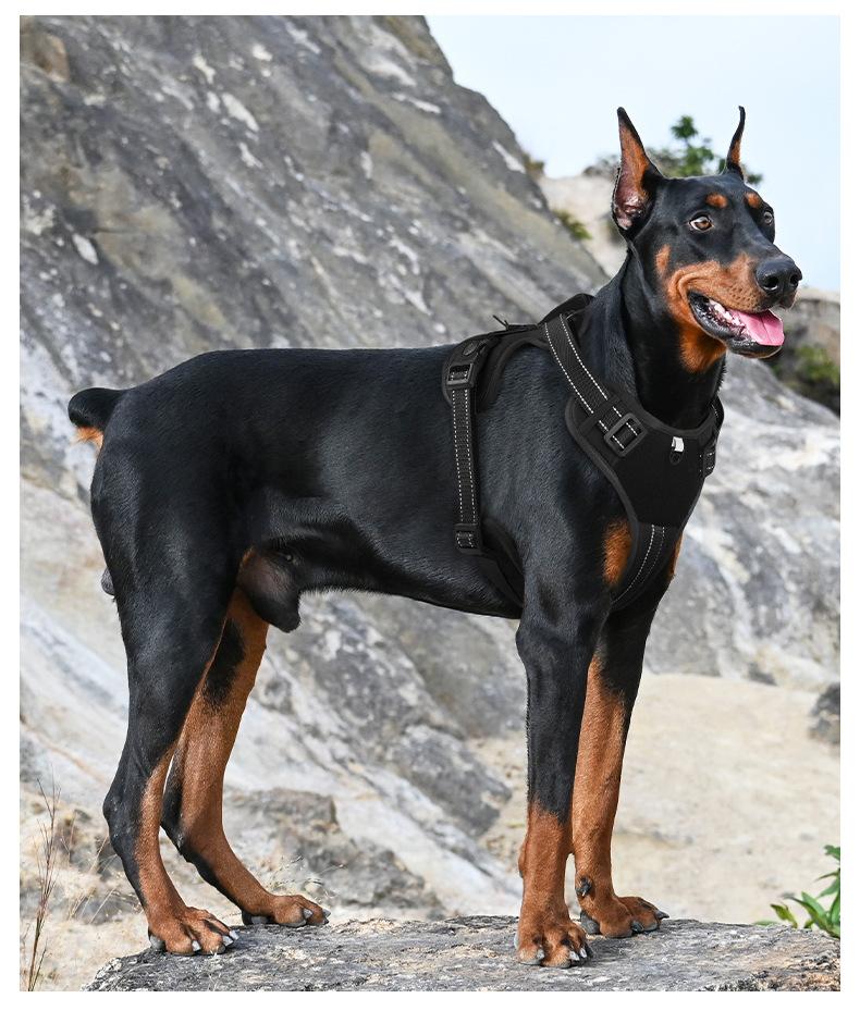 Tactical Dog Harness, No Pull Dog Harness with Leash, Lightweight Adjustable Dog Vest Harness for Small Medium Large Dogs, Reflective Escape Proof Dog Harness with Handle, Breathable Dog Harness for Training, Walking, Hiking, Outdoor, Protect Dog's Sternu