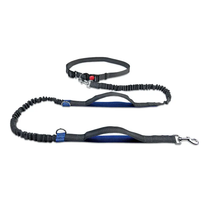 Double Telescopic Reflective Dog Leash for Outdoor Running Pet Leash Chain for Dogs Supplies