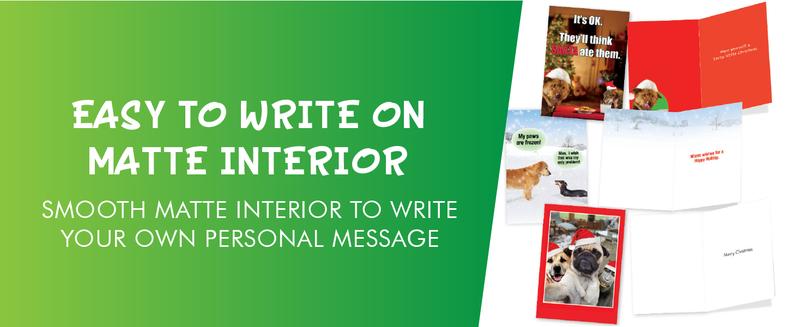 1 Funny Animal Birthday Card w/Envelope  Cute Puppy Card for Birthdays  Dog Antics Sprinkle Nose C3639ABDG