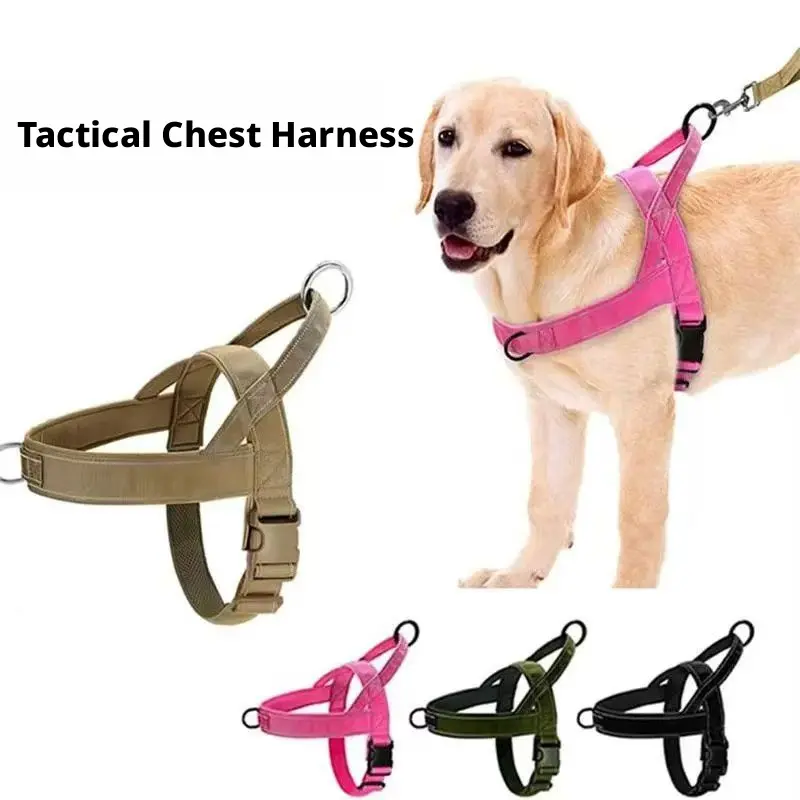 Polyester Dog Harness - Easy-to-Fit No-Pull Design - Safe, Secure, Comfortable - Chafe-Resistant Lightweight Straps - Adjustable for Perfect Fit