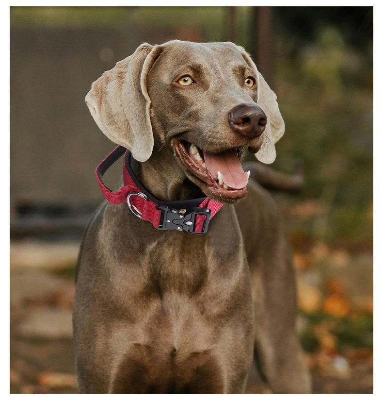 Heavy Duty Tactical Dog Collar with Control Handle, Stylish Pink Fashion No Pull Training Collar for Medium Large Dogs