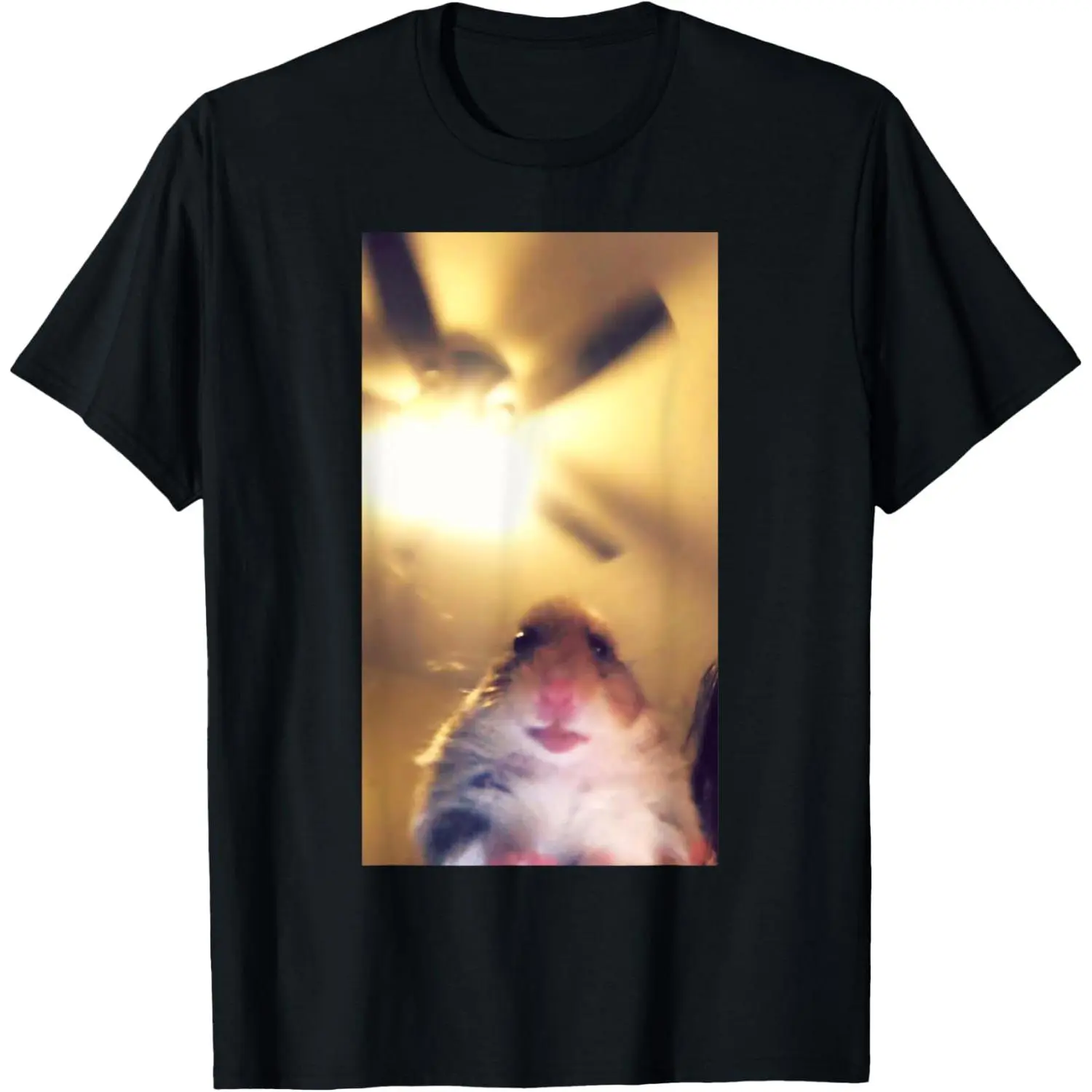 Meme Hamster Staring Front Camera T-Shirt