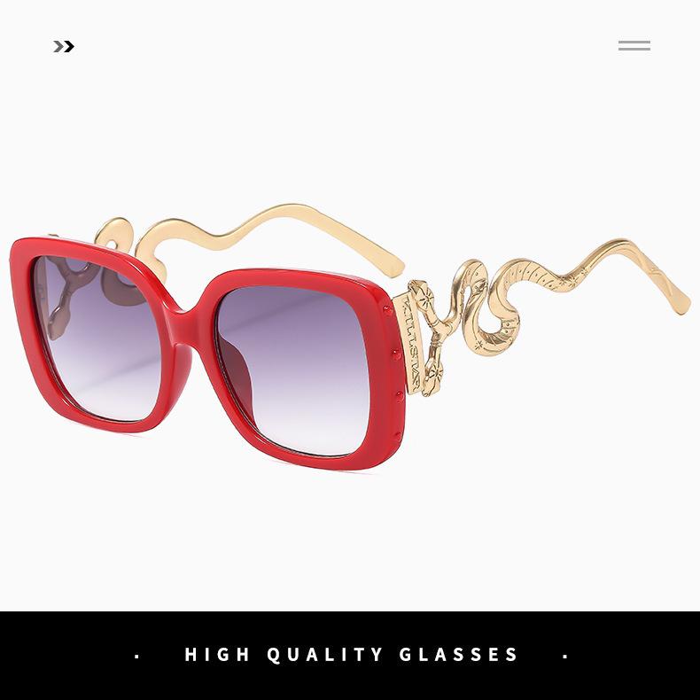 Vintage Dark Y2K Sunglasses with Double Snake Decor, UV Protection Anti Glare Shade Glasses, Gothic Retro Full Coverage Sun Eyewear for Women Men