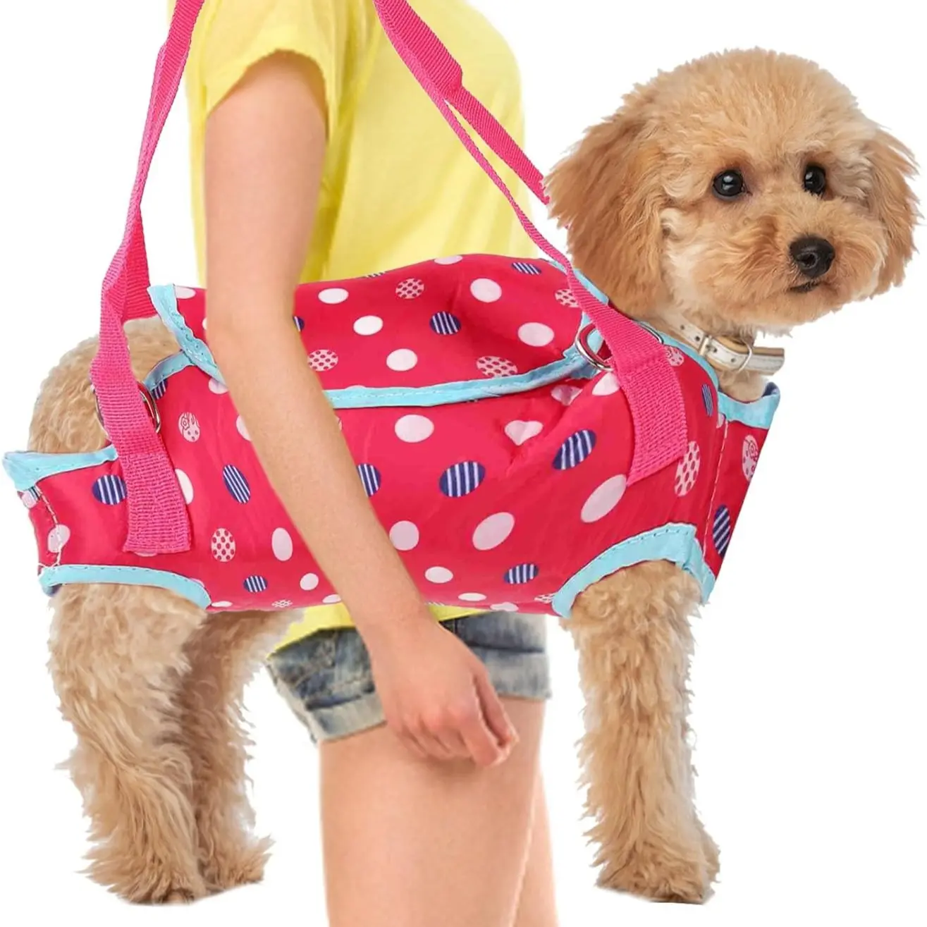 Small Pet Bag for Teddy and Poodle Dogs, Portable Breathable Shoulder Strap Dog Bag, Puppy Carrier Sling, Cat Backpack for Outdoor Use