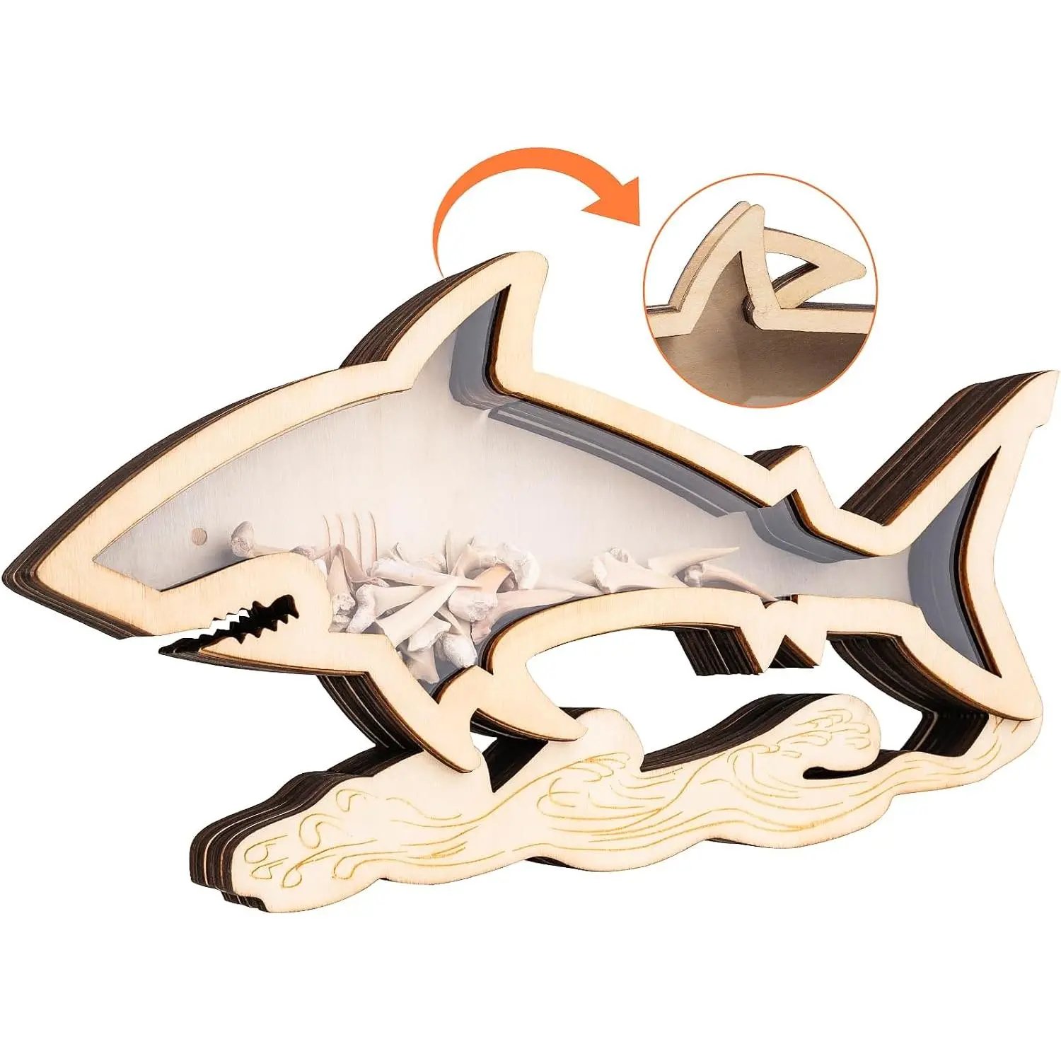 8.7 in   Display Case,   Shadow Boxes Display Cases,   Holder,  Display Box,  Collection, Decor Beach Gifts