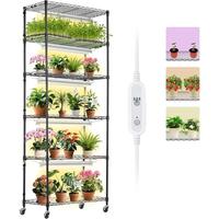 3 Modes Spectrum - 150W