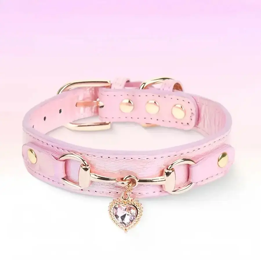 Holographic Iris Plastic Pet Choker Necklace, Adjustable and Waterproof for Small/Med Pets with Heart Charm, Photo Prop, Chocker Necklace, Adjustable Fit, Iris Pu, Photo Props