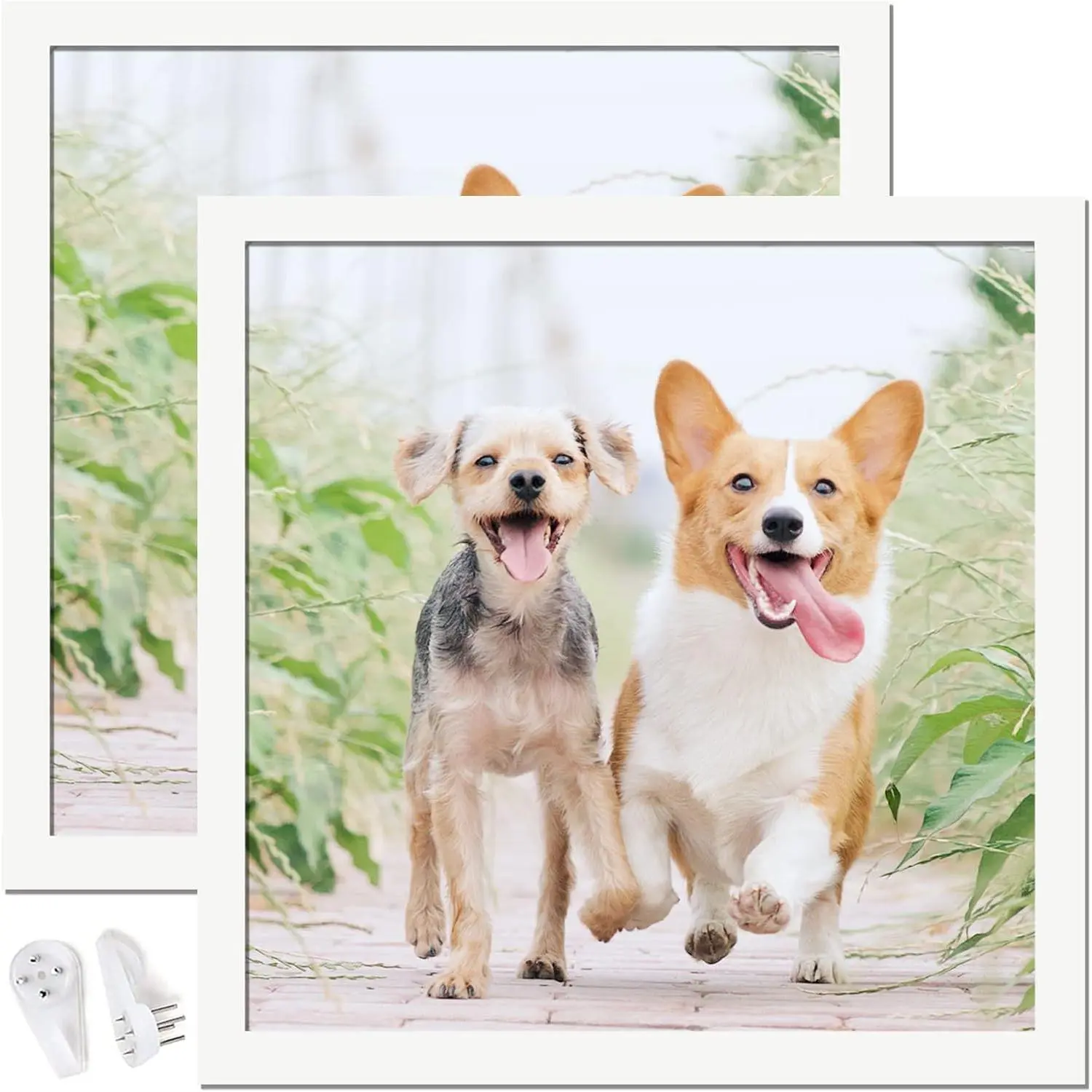 12x12 Inch Picture Frame Set of 2, White Square High Transparent Photo Frames for Wall Gallery Desktop, Horizontal Vertical Display for Canvas Collage Photo Poster Certificate