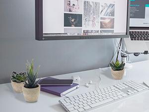 Artificial Succulent Plants Potted, Assorted Decorative Faux Succulent Potted Fake Cactus Cacti Plants with Pots, Set of 5 Artificial Succulent Plants Potted, Assorted Decorative Faux Succulent Potted Fake Cactus Cacti Plants with Pots, Set of 5