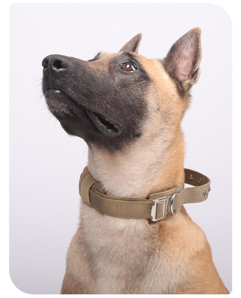 Heavy Duty Tactical Dog Collar with Leash, Reinforced Rivet Anti-Pull Collar for Large Dogs, Welded D-Ring, Quick-Release Zinc Alloy Buckle, Double Layer Nylon, Adjustable Padded Handle for Training Walking, Extra Strong Pet Collar for Big Breeds