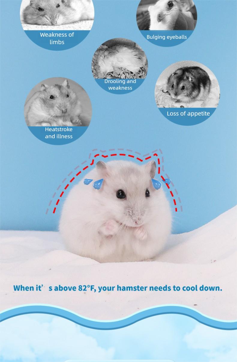 Small Pet Cooling & Hideout Hut, made of PP material, light-blocking, chew-resistant and roomy.Suitable for hamsters, Syrian hamsters, fancy rats, hedgehogs and other small pets.Comes with 2 replacement ice packs.