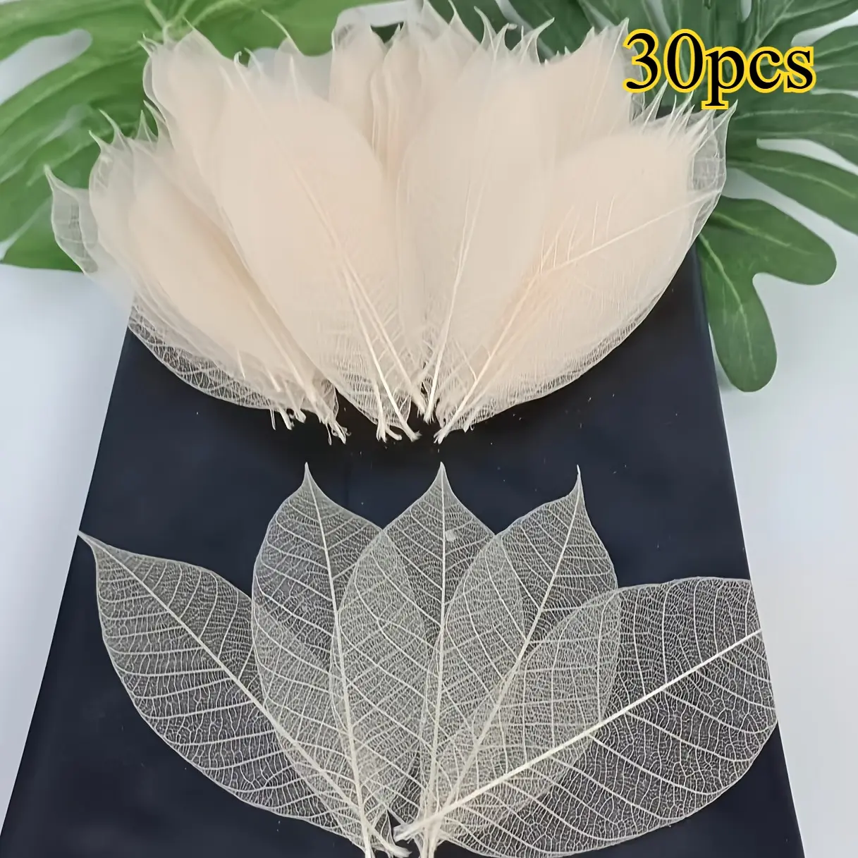 30pcs Magnolia Leaf Dried Pressed Flowers - Handmade DIY Craft for Wedding Decorations, Scrapbooking, Floral Phone Case Making & Photo Frame Embellishments - Realistic Botanical Preserved for Framing