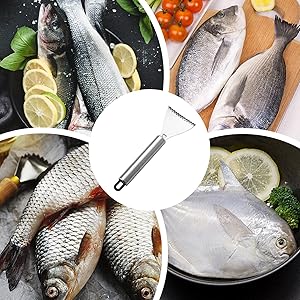 2PCS Stainless Steel Fish Scale Planer Multifunctional Fish Scale Remover Kitchen Utensils 2PCS Stainless Steel Fish Scale Planer Multifunctional Fish Scale Remover Kitchen Utensils
