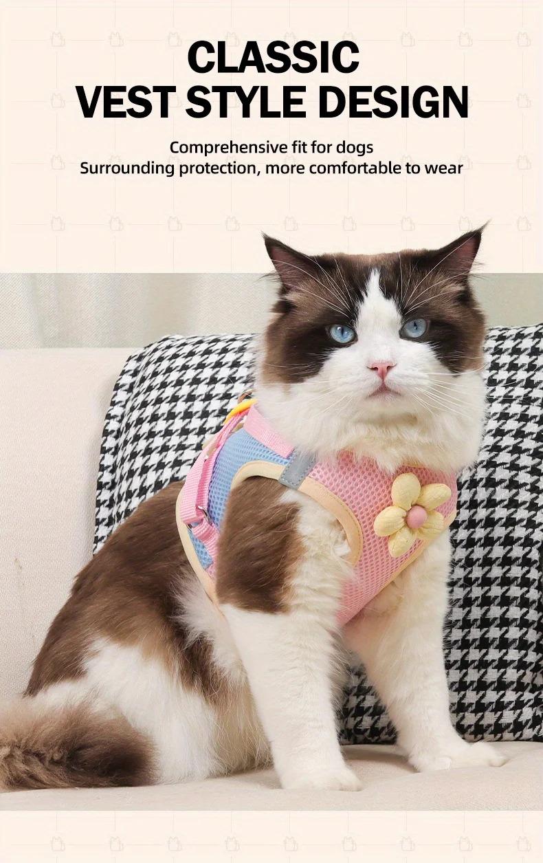 Cat Dog Harness and Leash Breathable Mesh Pet Chest Straps for Cats Puppy Walking Lead Ragdoll Chihuahua Vest Harness Bulldog