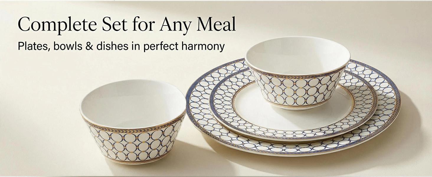 Bone China 4 Piece Dinner Plates 10 Inch Modern Round Salad Plates Dishware Set Microwave Safe Not Applicable For Kitchen Dining Tableware