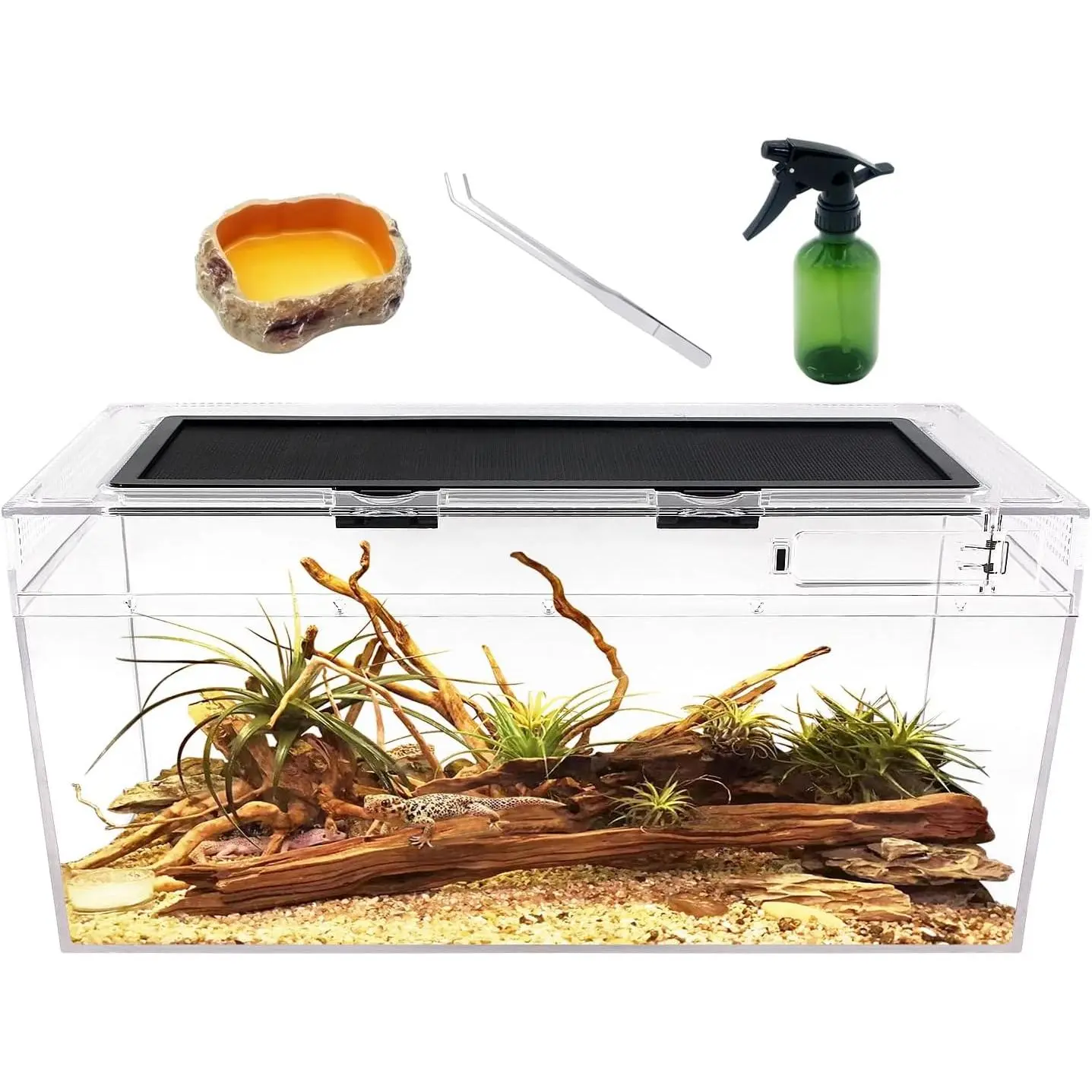 Plastic Rectangle Reptile Terrarium Tank - 20x10x8 in, Multi-Purpose Vivarium with Convenient Feeding Port & Exclusive Key, Ideal Habitat for Small Reptiles