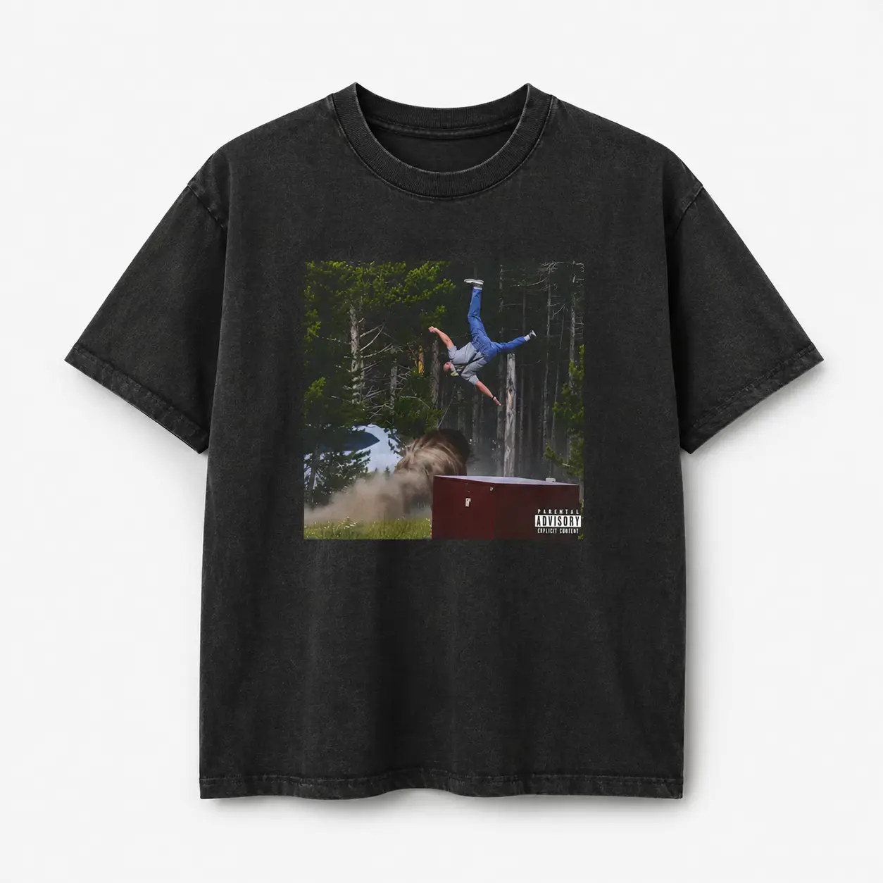 Yellowstone Bison Incident Shirt, Funny National Park Meme Tee, Tourist vs Bison Graphic Shirt, Album Cover Parody Gift