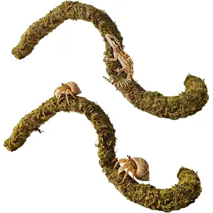 2 count Leopard Gecko Climbing Toys Bendable Moss Vine Hermit Crab  Accessories for Lizards Leopard Geckos Chameleons Frogs 15 Inch (2)