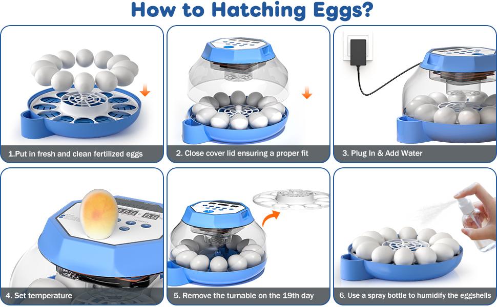 Automatic Egg Incubator For 12-24 Eggs, With Temperature & Humidity Control, Auto Egg Turning, 360 °   View Window For Chicken/Duck/Quail/Turkey Eggs (Built-In Candler & Quiet Design)